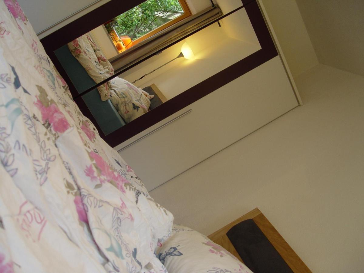 Appartement Birgla 齐勒河谷的拉姆绍 外观 照片