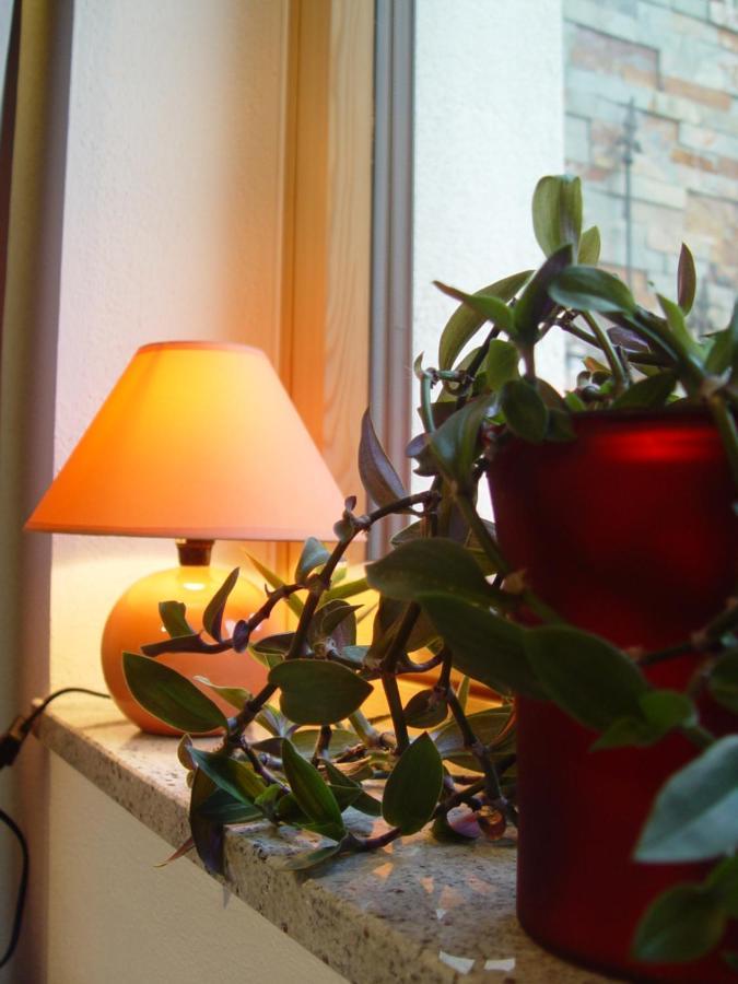 Appartement Birgla 齐勒河谷的拉姆绍 外观 照片